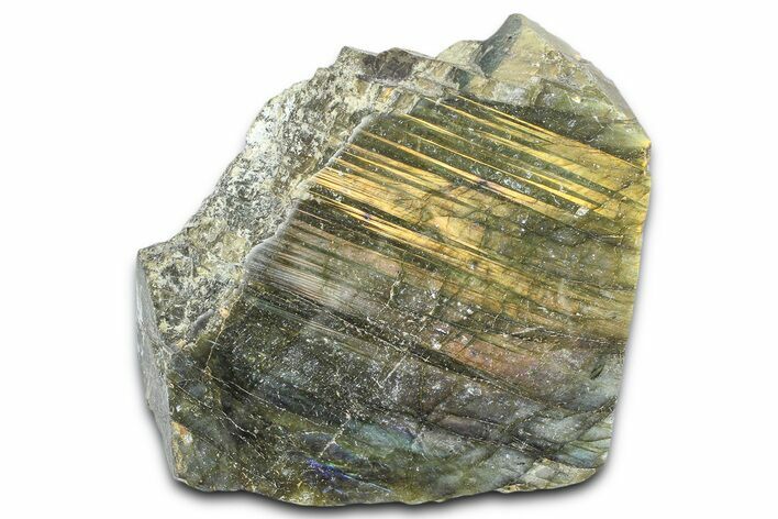 Single Side Polished Labradorite Section - Madagascar #364270